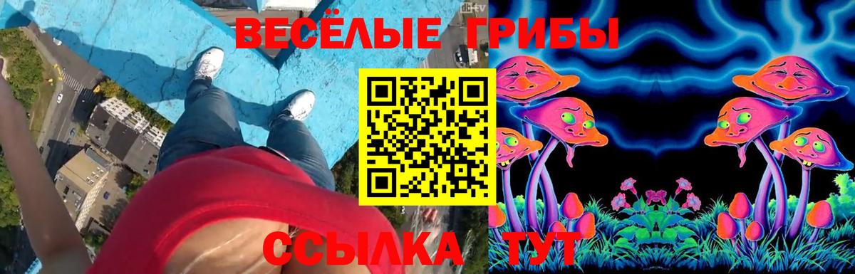 Галлюциногенные грибы Psilocybine cubensis  Вход с VPN  Донецк 